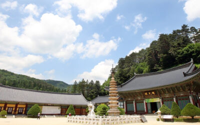 [제18회 노벨평화상 수상자, 월드서밋 강원]사찰음식 만찬·1,400년 수행법 전수…전세계에 한국 불교문화 정수 알린다