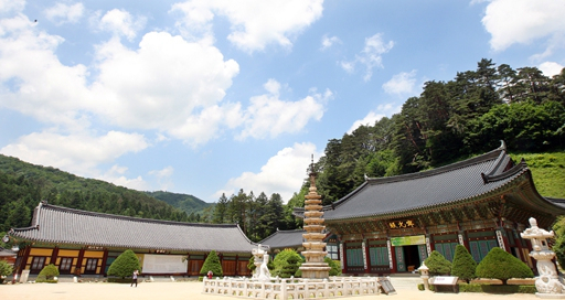 [제18회 노벨평화상 수상자, 월드서밋 강원]사찰음식 만찬·1,400년 수행법 전수…전세계에 한국 불교문화 정수 알린다