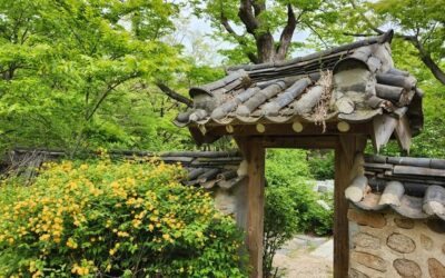 [김용호 정읍시립국악단 단장 전통문화바라보기] 우우당의 기억